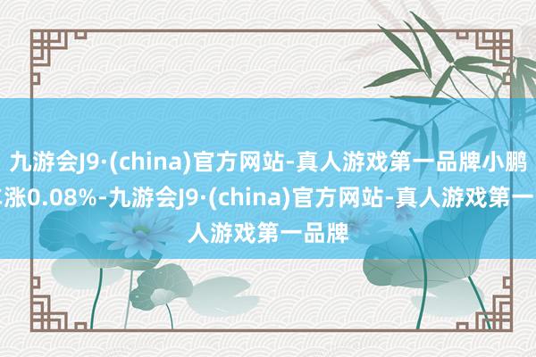 九游会J9·(china)官方网站-真人游戏第一品牌小鹏汽车涨0.08%-九游会J9·(china)官方网站-真人游戏第一品牌