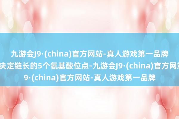 九游会J9·(china)官方网站-真人游戏第一品牌科研团队最终细目了决定链长的5个氨基酸位点-九游会J9·(china)官方网站-真人游戏第一品牌