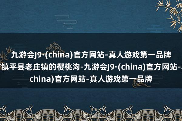 九游会J9·(china)官方网站-真人游戏第一品牌走进河南省南阳市镇平县老庄镇的樱桃沟-九游会J9·(china)官方网站-真人游戏第一品牌