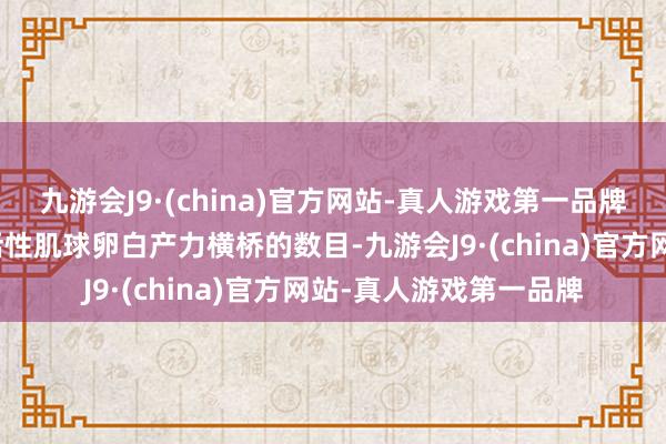 九游会J9·(china)官方网站-真人游戏第一品牌减少每个心动周期中活性肌球卵白产力横桥的数目-九游会J9·(china)官方网站-真人游戏第一品牌